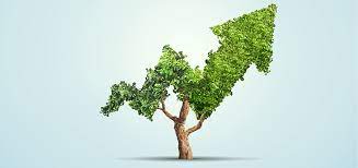How to Establish a Startup Business 2024