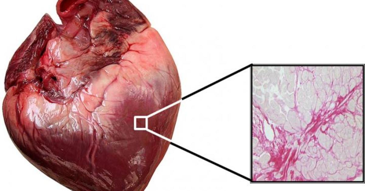 We are About to Learn a Whole Lot More About How the Human Body Reacts to Space 2024